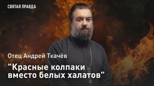 «Красные колпаки вместо белых халатов»: Протоиерей Андрей Ткачев об обратной стороне Дня гинеколога