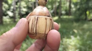 Шкатулка в июльском лесу в дупле березы