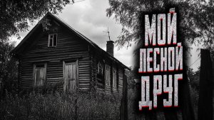 Мой лесной друг. Страшные истории на ночь. Мистика. Страшилки на ночь.
