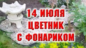 14 июля. Цветник с фонариком