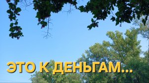 НА МЕНЯ НАКАКАЛА ПТИЧКА🕊 ПРОГУЛКА В ПАРКЕ🌳 СТРОИМ ПЛАНЫ
