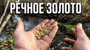 Золото переката! Россыпь Золота в реке!