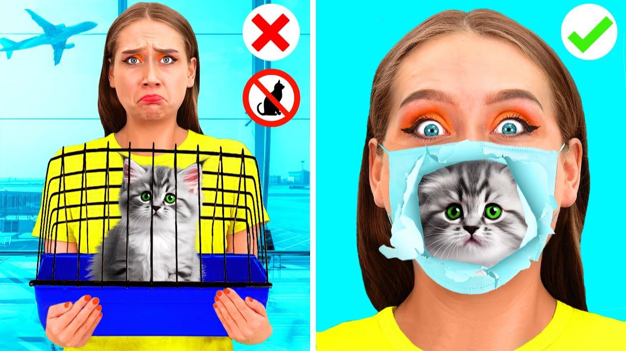 Как Пронести Домашних Животных в Самолёт # Смешные Моменты
