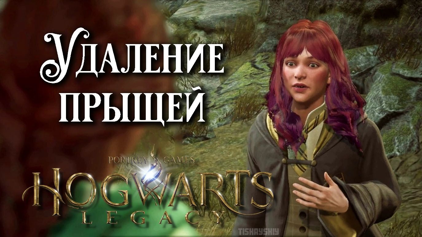 Удаление прыщей. Hogwarts Legacy прохождение. Spot Removal