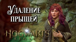 Удаление прыщей. Hogwarts Legacy прохождение. Spot Removal