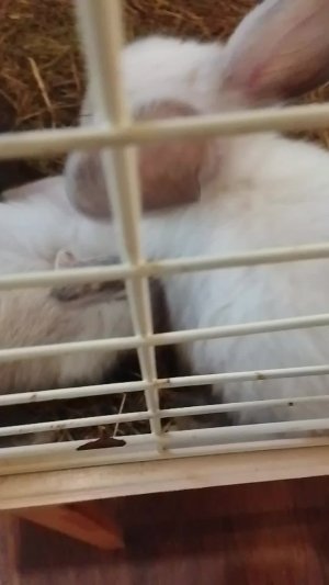 2 эфир