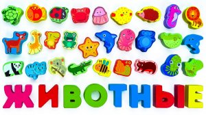 Игрушка для Малышей - Учим Названия Животных!