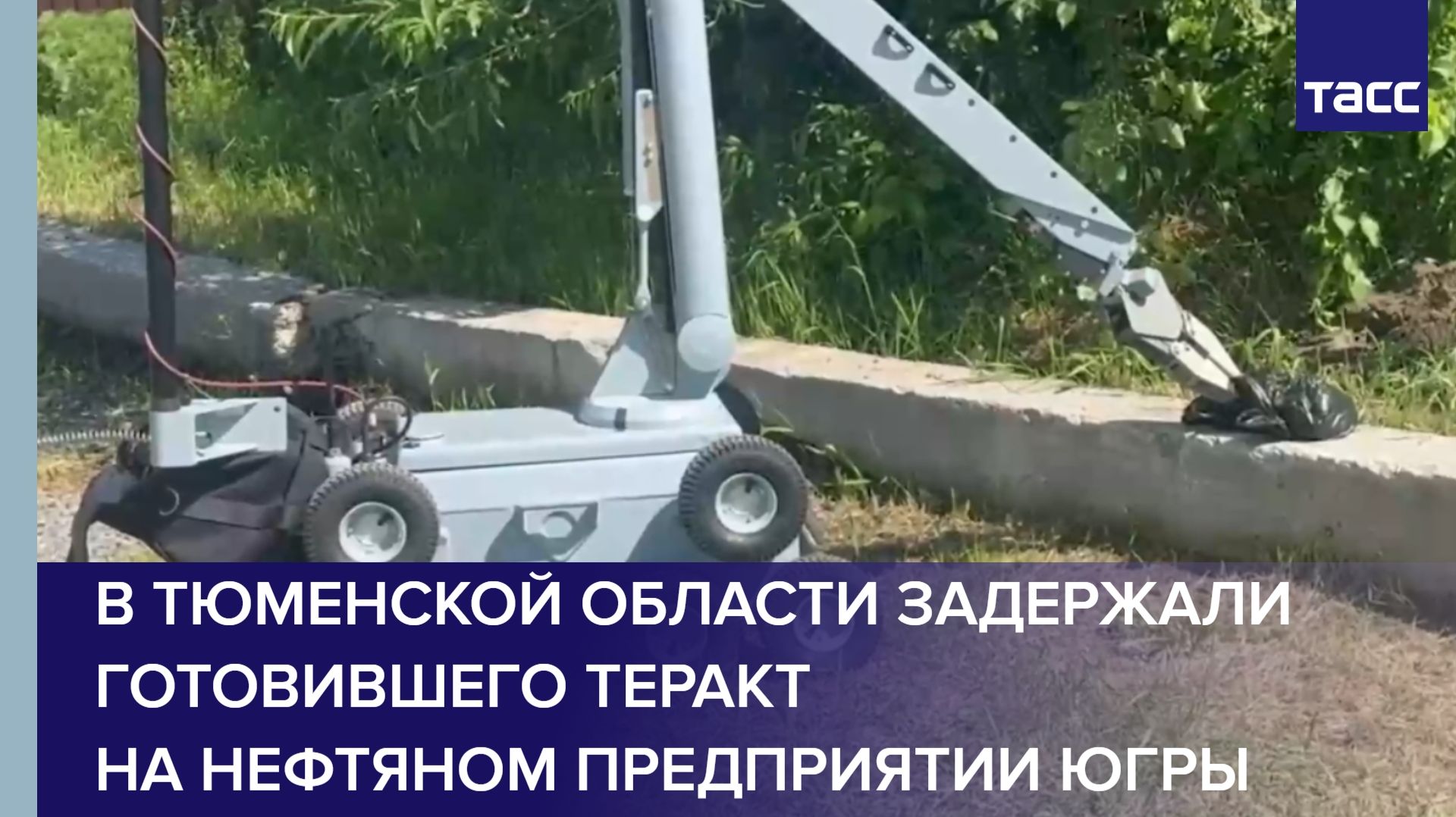 В Тюменской области задержали готовившего теракт на нефтяном предприятии Югры смотреть онлайн