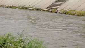 КРАСНОЯРЦЫ СТАЛИ КАТАТЬСЯ НА СКУТЕРАХ ПО КАЧЕ
