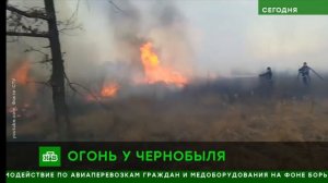 видео для вопросов