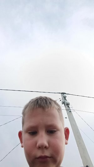 полю с вой номер за 40 зрителей