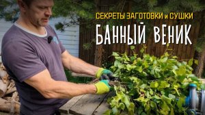 Секрет хлёсткого БЕРЁЗОВОГО ВЕНИКА: правильная вязка и сушка 💪