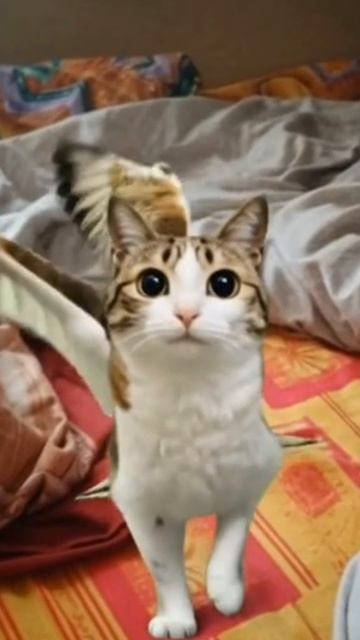 мяул смотреть онлайн