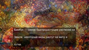 «Как сделать идеальную картинку с подписью»