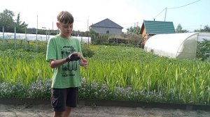 Как кидать цепь