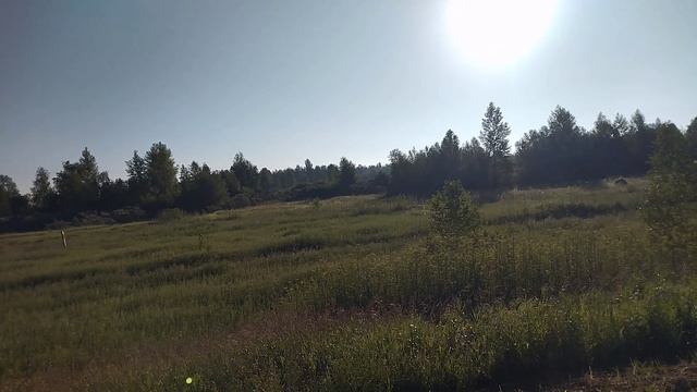 Сбили лосёнка. Знак 70 несутся под 150 км/ч. смотреть онлайн