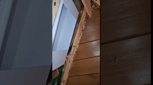 1000064017.mp4 (Собака слушает о технологии устройства вытяжной вентиляции в доме А-фрейм)