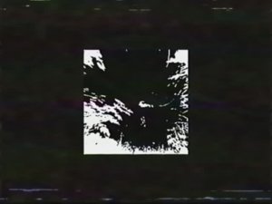 Предупреждение_О_Зверях_В_Вечно_Зелёном_Лесу.mp4 [My Little Pony Analog Horror Vol.6]