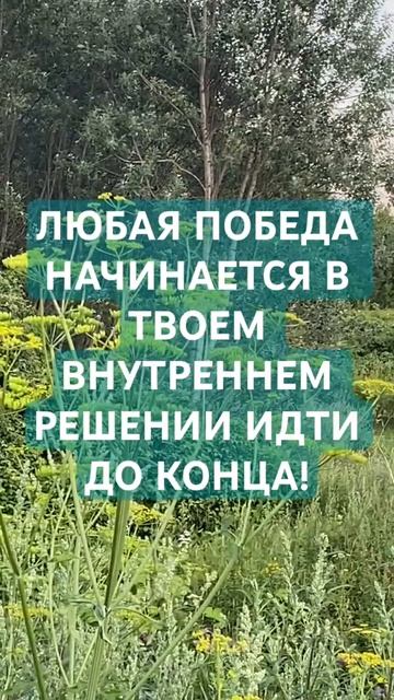 ДО КОНЦА