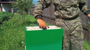 Развитие 6-ти рамочника в городских условиях на 15 июля 2026 года...