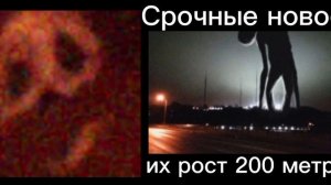 ты увидел это творение Тревора Хендерсона: часть 2.