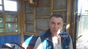 ПРОДОЛЖАЕМ КОПАТЬ ЧЕСНОК,ГОТОВИМ ГРЯДКИ ПОД КЛУБНИКУ