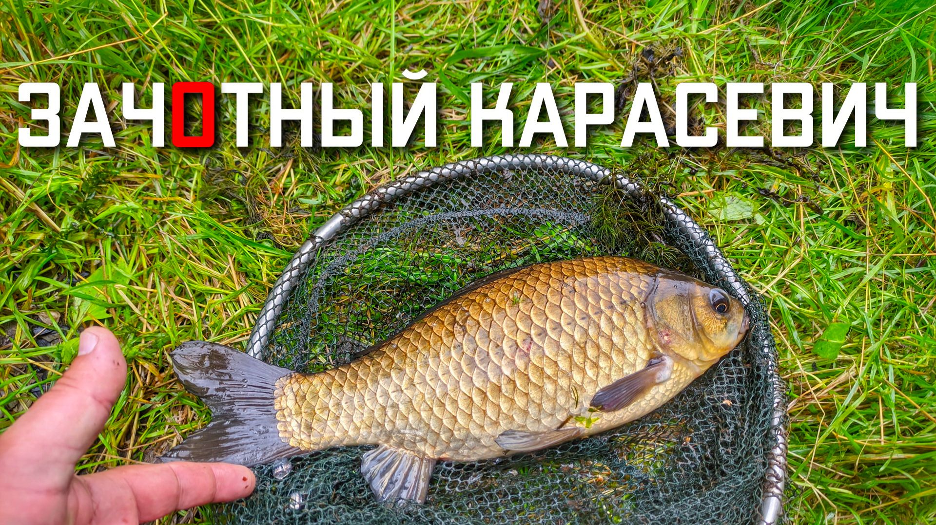 Хорошая рыбалка на карася летом видео смотреть онлайн