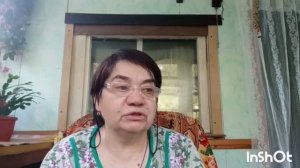 Занимаюсь делами. На огороде болото. Собрала малину, заморозила на зиму