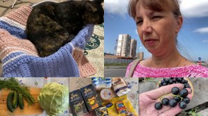 Вчера закончился хлеб… Руки потянулись к долговязу🧶 Без помогатора нигде и никуда🤪