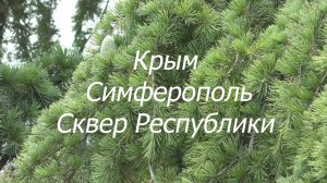 Крым Симферополь Сквер Республики
