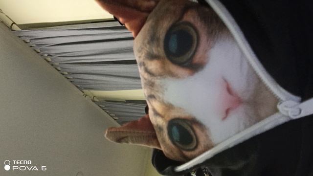Meow