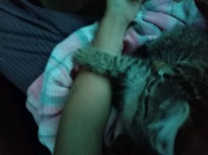 пр