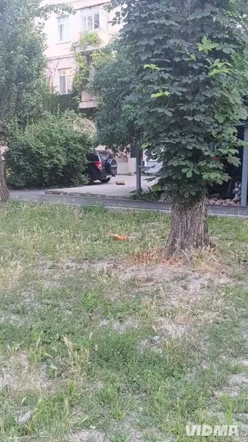 бой самолётов.