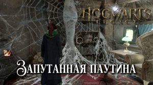 Запутанная паутина. Hogwarts Legacy прохождение. Tangled Web