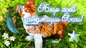 Обзор всей Амуниции Окси! (Кроме поводков)