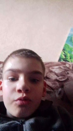 мой хомяк