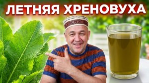 ХРЕНОВУХА летняя Простой рецепт