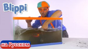 Блиппи моет машины! _ Блиппи на Русском _ Изучай этот Мир вместе с Блиппи _ Blippi