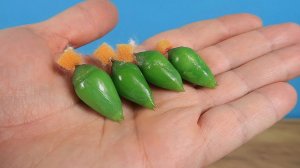 Купил четыре куколки тропических бабочек! Как сделать Бабочкарий в домашних усло