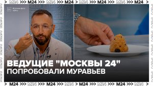 Ведущие телеканала Москва 24 попробовали десерт с муравьями