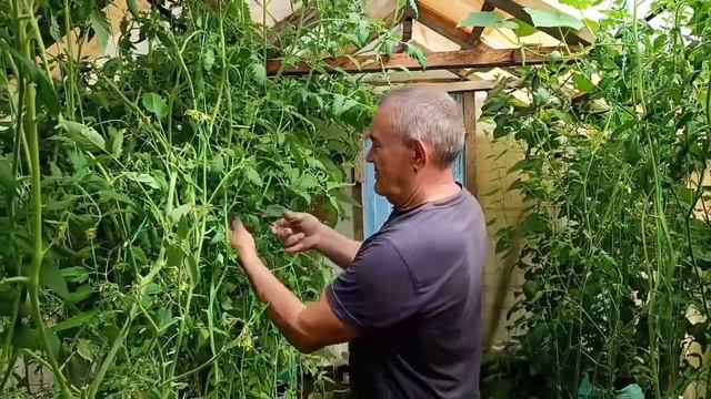 с утра работаем в теплице смотреть онлайн