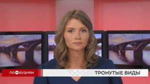 Новости ПО БУДНЯМ 15.07.2026