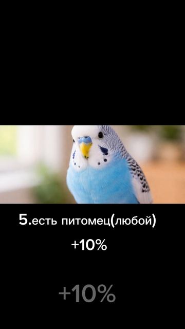 [19:12] :)