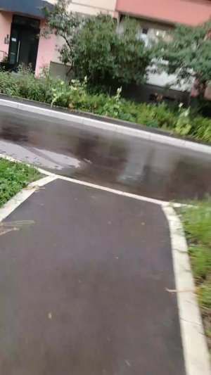 секретное наблюдение за Васёк