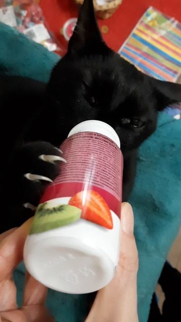 А вы тоже любите молочные продукты?