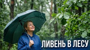 Июльский ливень/Шум дождя/Листва перешептывается/Середина лета/Дождливый влог из Партизанска/