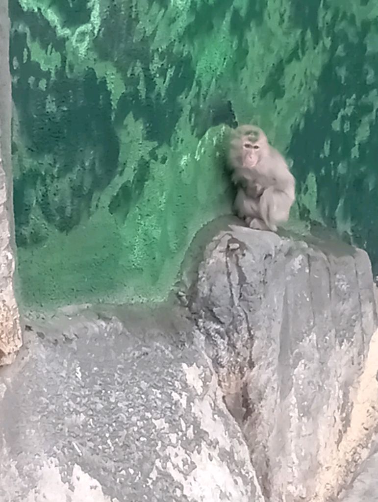 про