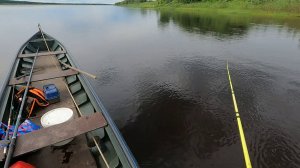 Спонтанная рыбалка \ Не ждали не гадали, а пол ведра рыбы накидали
