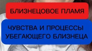 Что чувствует убегающий близнец на самом деле_