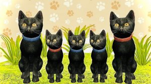 Симулятор маленького котенка#